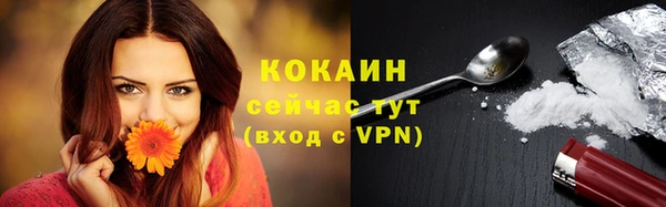 соль ск Белокуриха