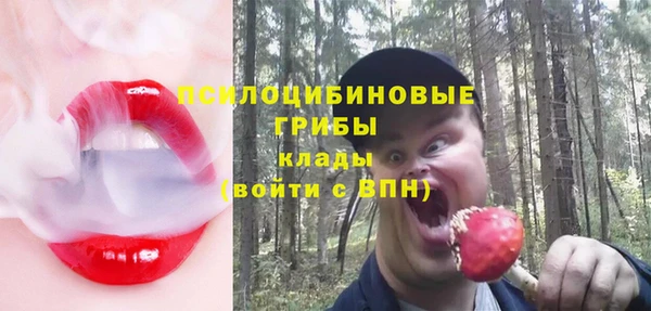 соль ск Белокуриха